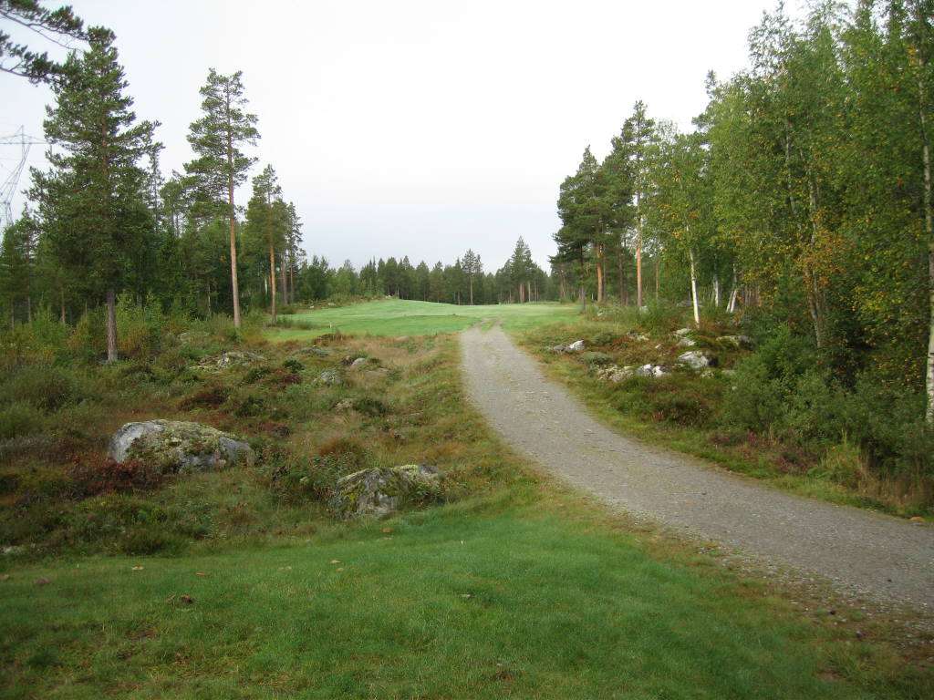 Tee